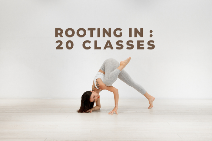 Rooting In: 20 Classes