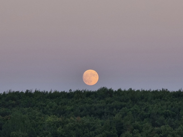 New Moon Guided Healing Meditation: Release and Restoration, Oct 21