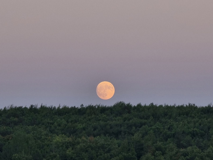 New Moon Guided Healing Meditation, Jan 19