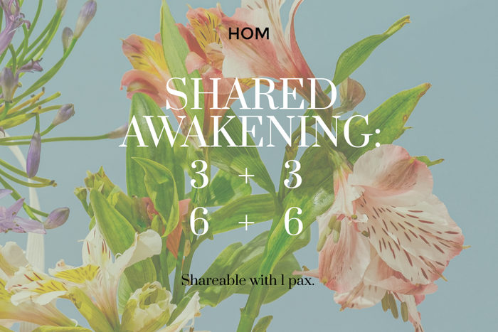 Shared Awakening: 50% off